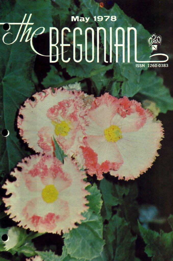 B. ‘Thelma’